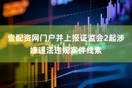 壹配资网门户并上报证监会2起涉嫌违法违规案件线索