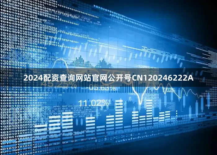 2024配资查询网站官网公开号CN120246222A