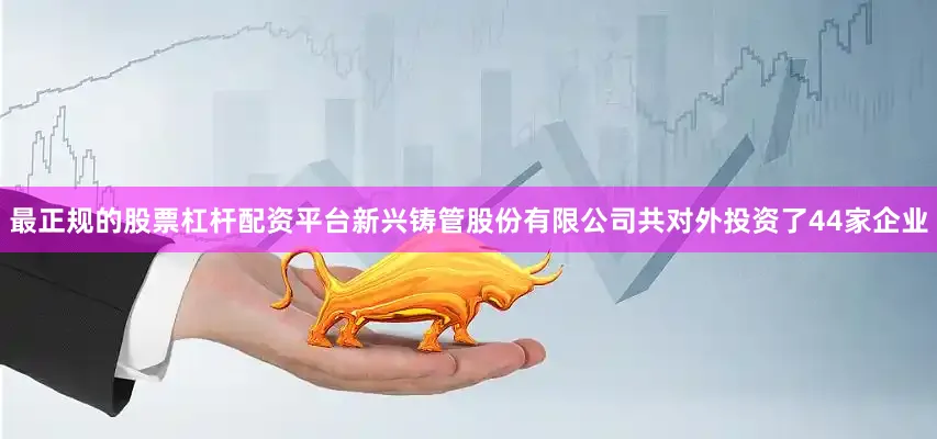 最正规的股票杠杆配资平台新兴铸管股份有限公司共对外投资了44家企业